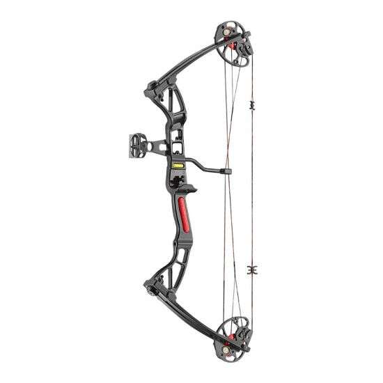 Compound Bogen REX 10 - 30 lbs 